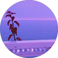 Henrique Silva profile picture